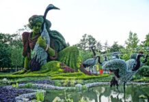 Монреальский ботанический сад – один из самых больших в мире