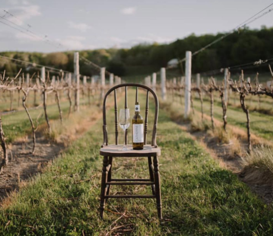 Vinification à Montréal