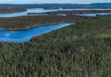 Развитие лесного хозяйства Квебека и какую роль в нем играет Монреаль