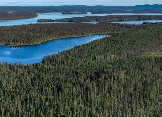 Развитие лесного хозяйства Квебека и какую роль в нем играет Монреаль