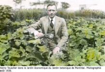 Ботанический сад Монреаля был построен эмигрантом из Германии