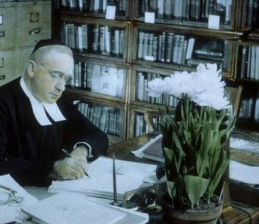 Брат Мари-Викторен – ботаник и вдохновитель строительства Ботанического сада в Монреале