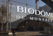 Монреальский Biodôme — смесь зоопарка, аквариума и ботанического сада