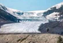 История древнего моря Шамплейн, которое в свое время затопило будущий Монреаль