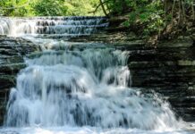 Comment le temps et l’industrialisation de Montréal ont affecté négativement les rivières et les ruisseaux locaux