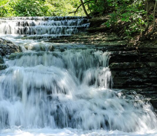 Comment le temps et l’industrialisation de Montréal ont affecté négativement les rivières et les ruisseaux locaux