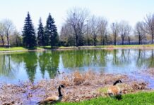 Ahuntsic Park