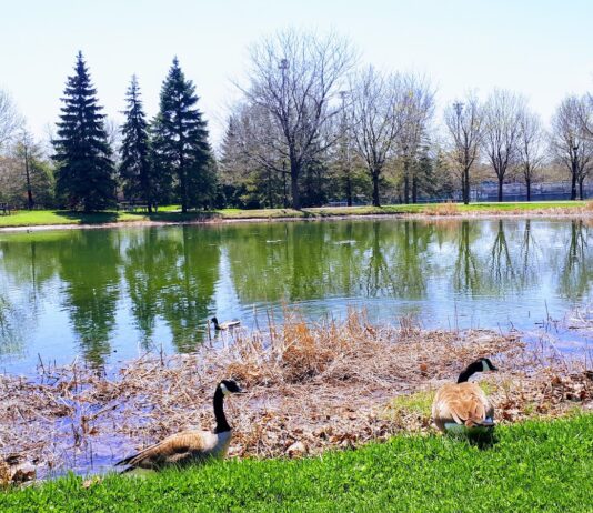 Parc Ahuntsic