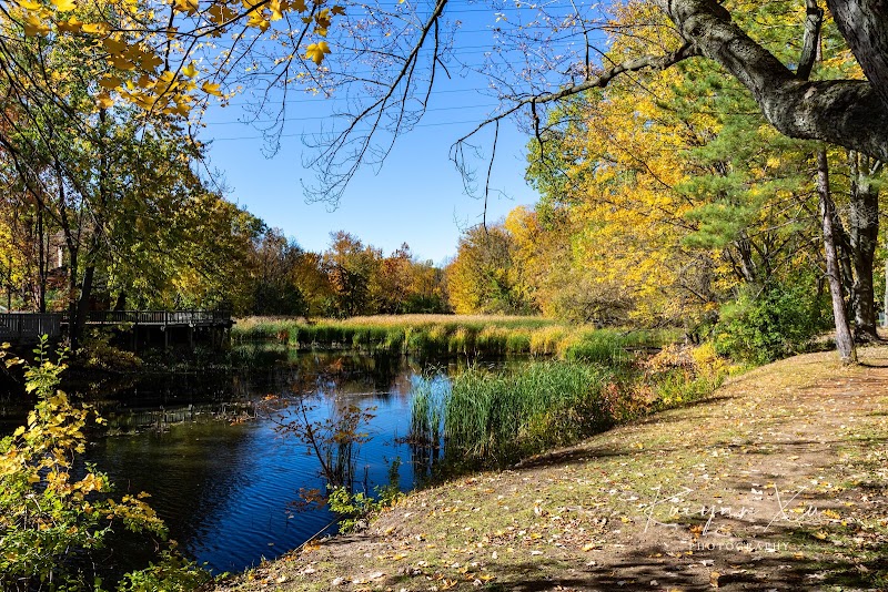 Parc-nature du Bois-de-Liesse