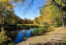 Bois-de-Liesse Nature Park