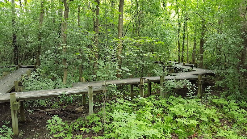 Parc-nature du Bois-de-Liesse
