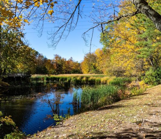 Parc-nature du Bois-de-Liesse