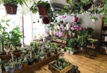 Fleuriste Abaca