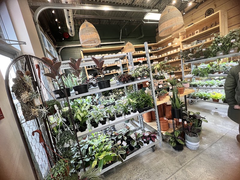 Fleuriste Binette et filles