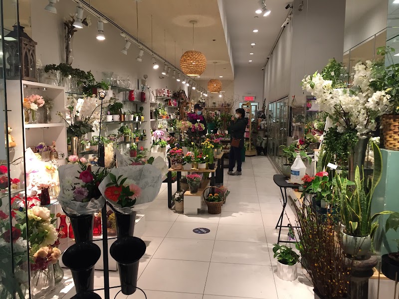 Fleuriste Jardin Alex - Jardin Julia
