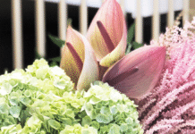 Fleuriste Pourquoi pas fleurs