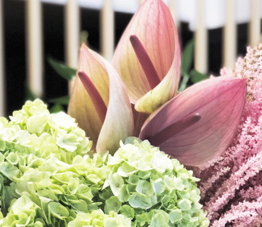 Fleuriste Pourquoi pas fleurs