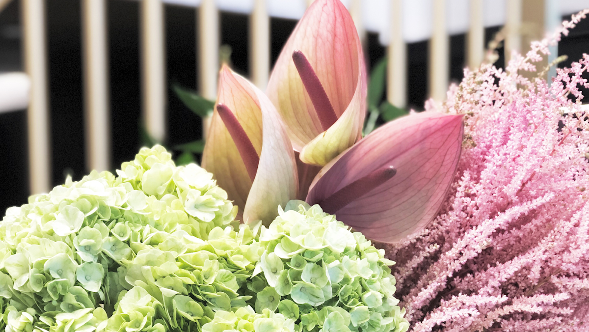 Fleuriste Pourquoi pas fleurs — Florist