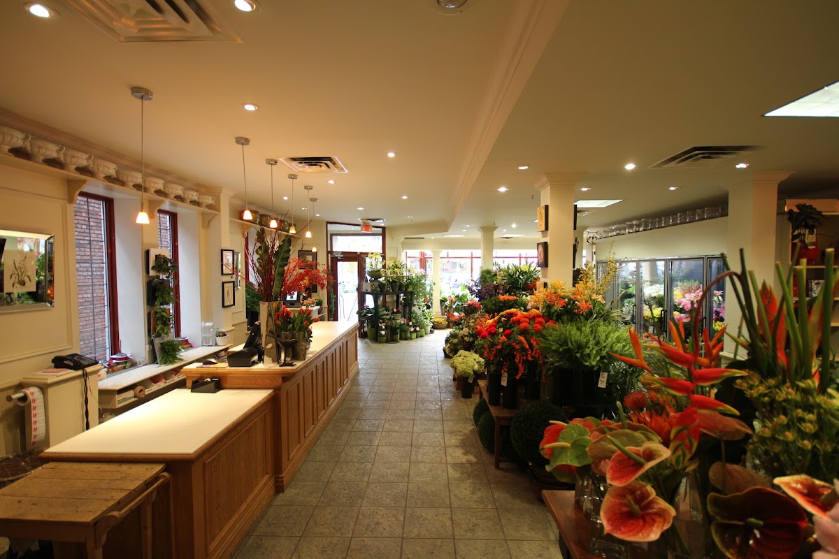 Fleuriste Westmount — Florist