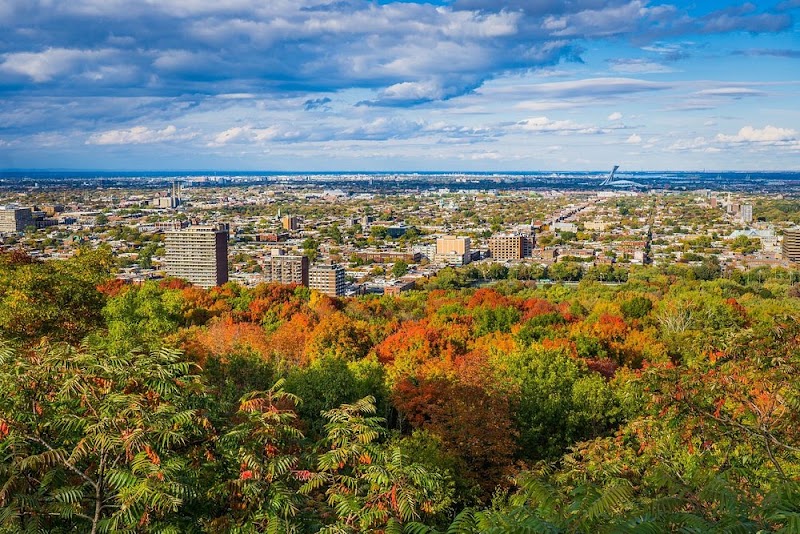 Parc du Mont-Royal