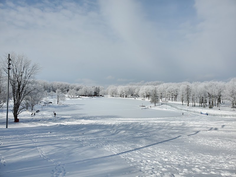 Parc du Mont-Royal