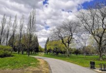 Parc Jarry