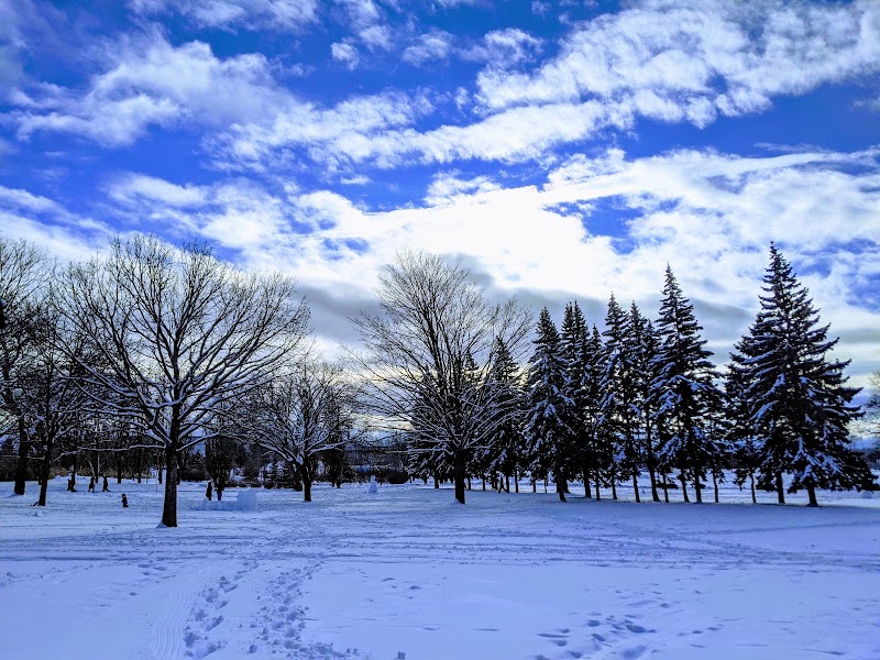 Parc Jarry