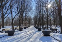 Parc La Fontaine