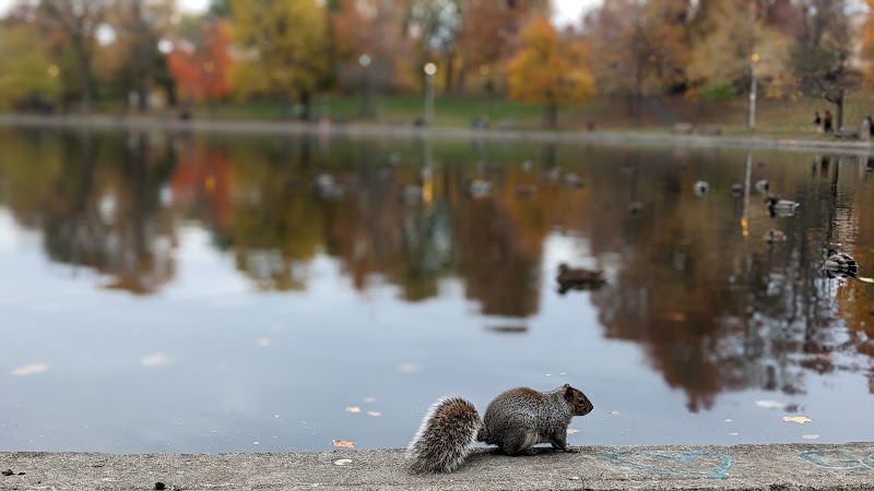 Parc La Fontaine