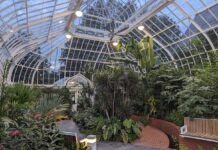Parc Westmount